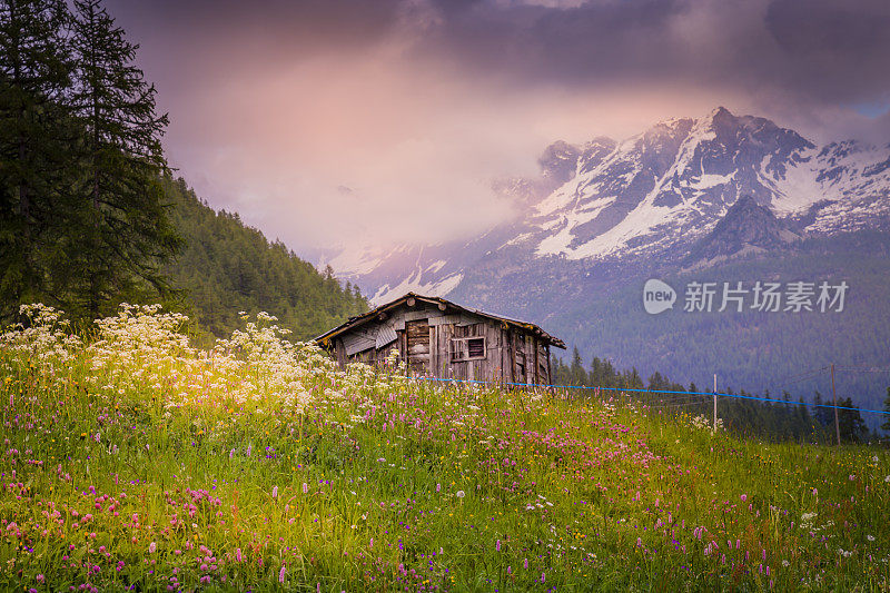 意大利北部，春季高山景观格兰帕拉迪索的废弃谷仓