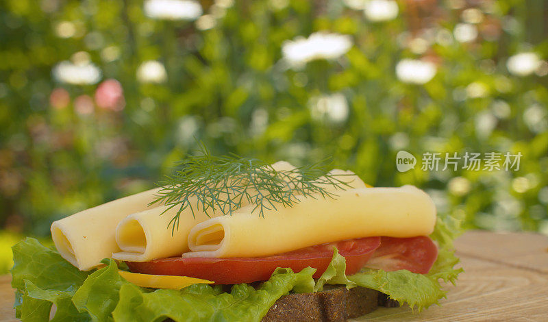 三明治配乳酪、生菜和番茄