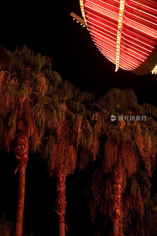 霓虹灯的棕榈树