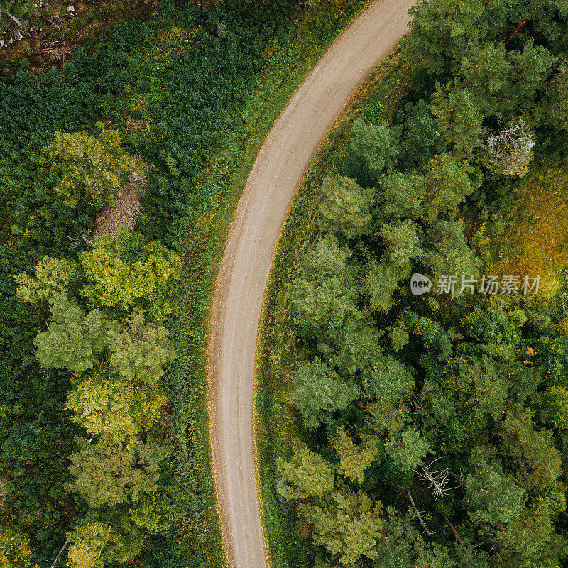 森林树木和道路的自然景观在瑞典无人机图像