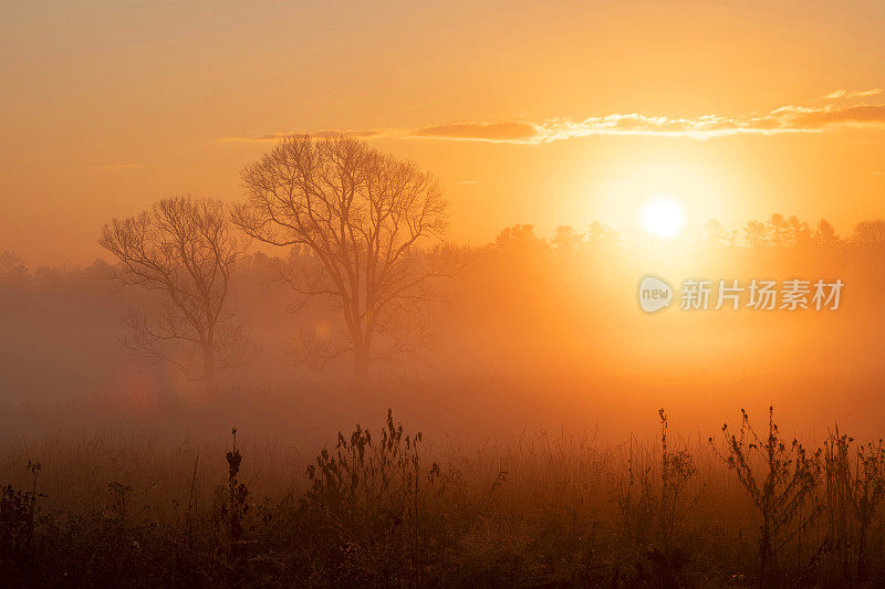 福吉谷国家历史公园的日出，一个雾蒙蒙的早晨