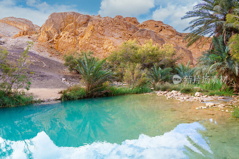 撒哈拉沙漠绿洲中的一个湖