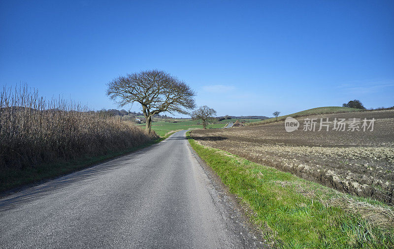 一车道乡村公路