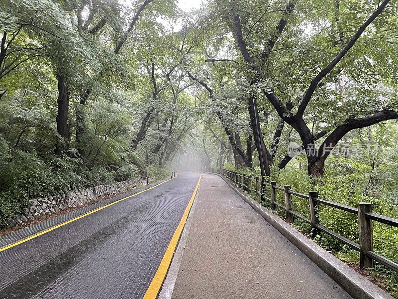 潮湿的早晨