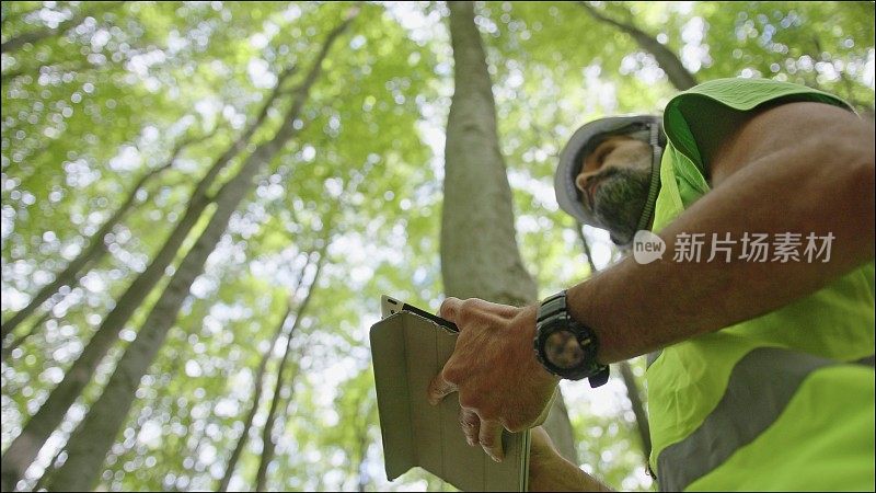 生态学家在野外工作。林务员检查森林中树木的自然状况，并采集样本进行深入研究。生态系统的保护和可持续性。