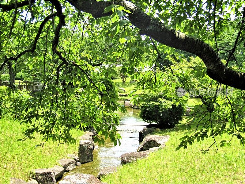 小水流与石头堤岸在传统的日本花园。