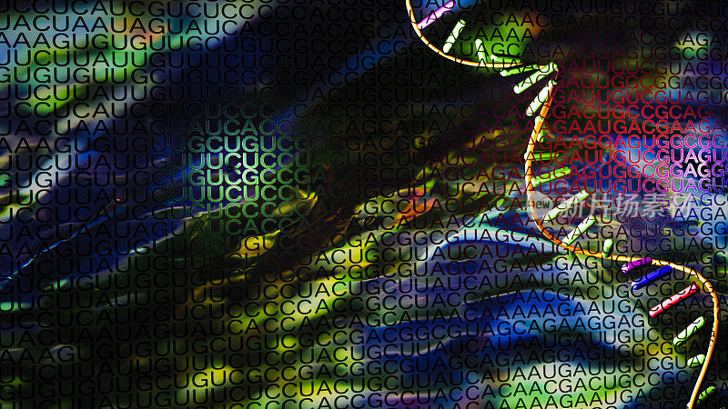DNA螺旋正在解开核苷酸密码。