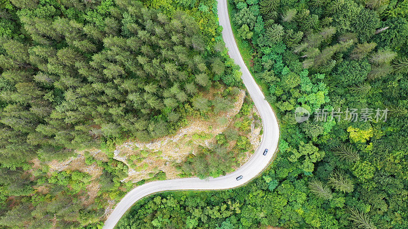 穿越森林的公路旅行