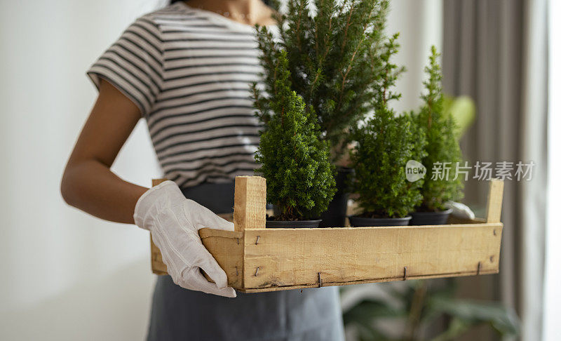 近距离照片的妇女手拿植物在她的车间