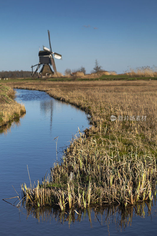 荷兰传统的Broekmolen风车映衬着蔚蓝的天空