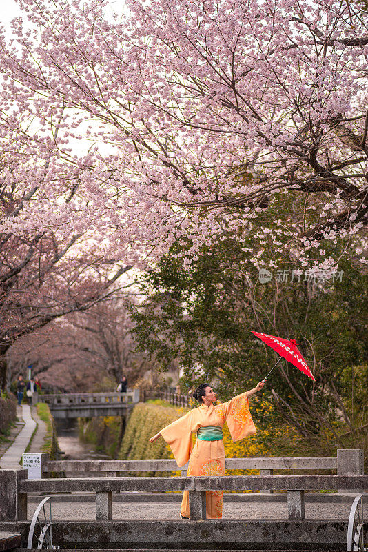 日本京都，一位身穿橙色和服、打着红色雨伞的妇女