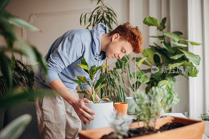 红发少年在家里种植室内植物