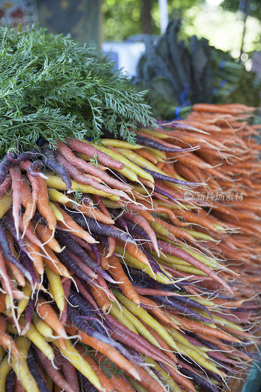 农贸市场上出售的新鲜橙色、紫色和黄色胡萝卜