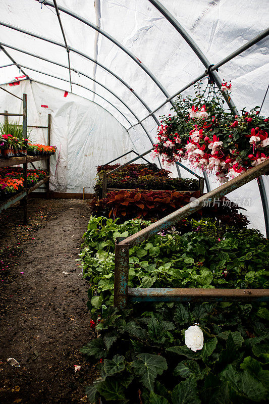 温室内