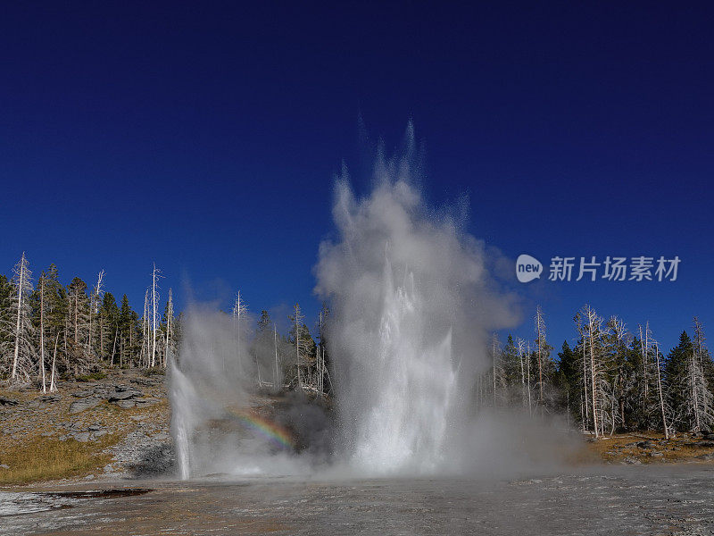 大喷泉,黄石公园。