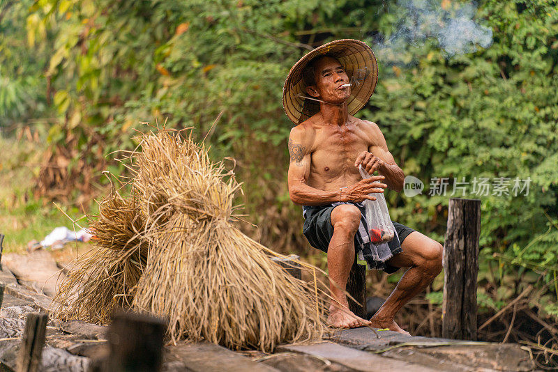 在泰国东北部，一位戴着圆锥形帽子的亚裔泰国老农民坐在木桥上休息，一边送干草，一边抽着当地的烟草