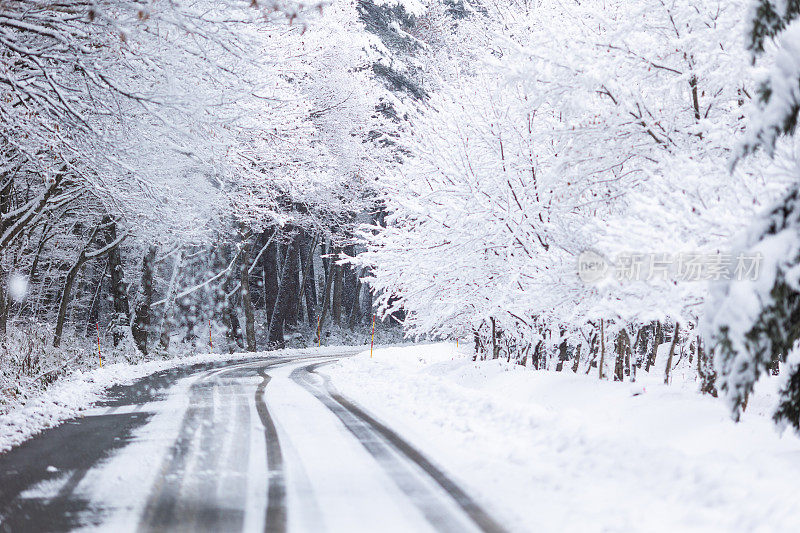 白雪林路