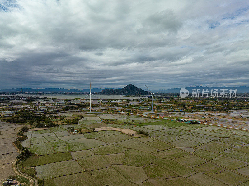 坝奈风力发电机农场在稻田上