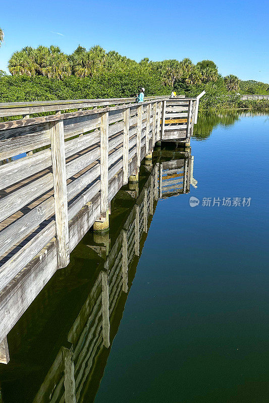 绿茵湿地的木栈道