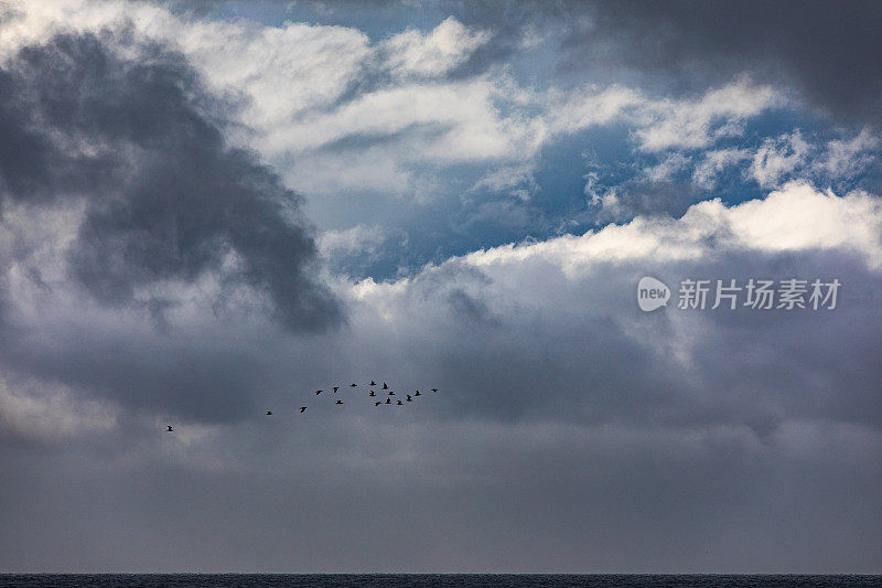 一群鸟飞过阴暗忧郁的乌云。