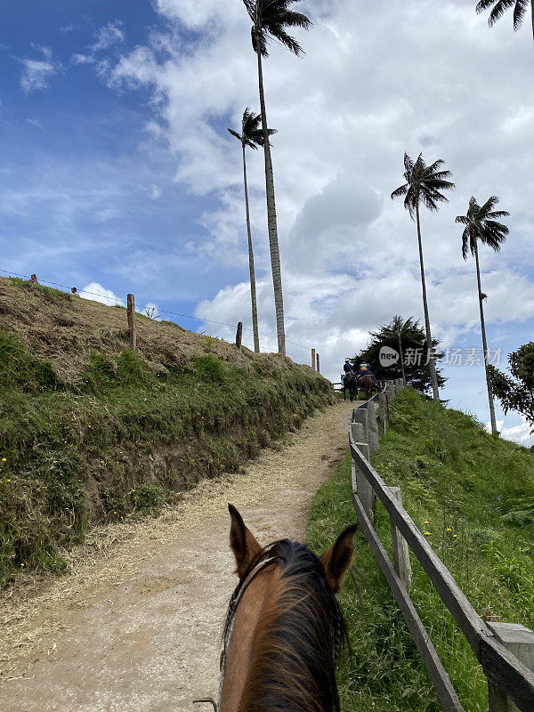 在哥伦比亚的可可谷骑马