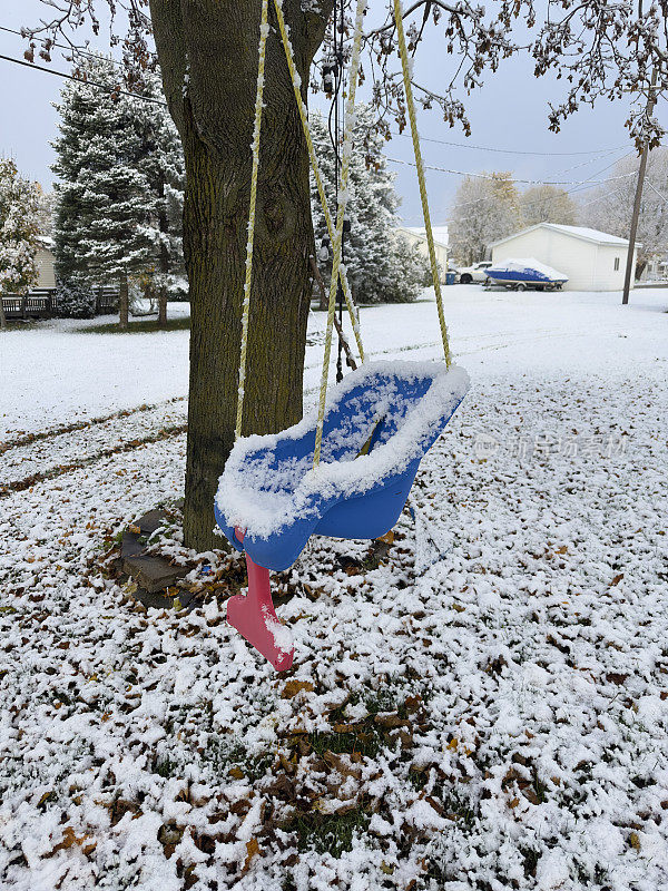 秋千挂在被雪覆盖的树上