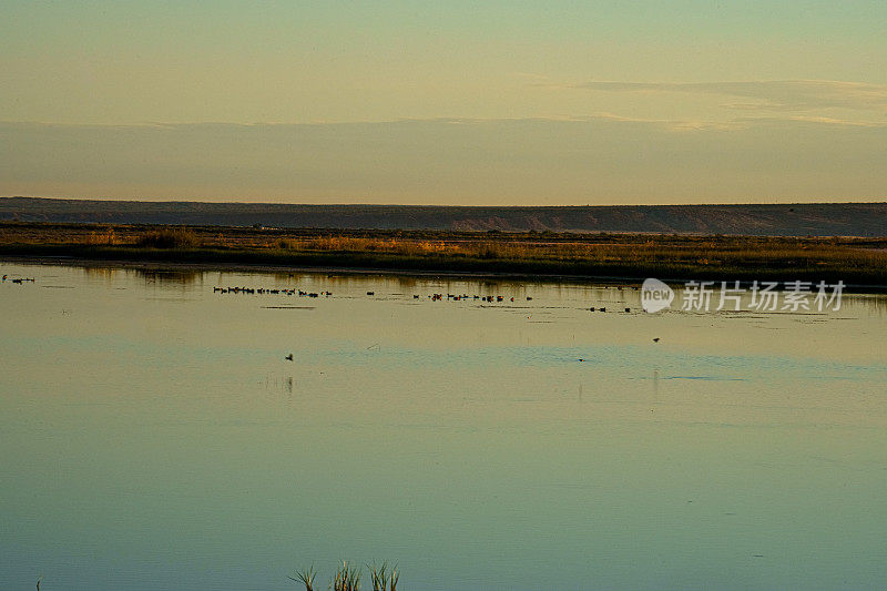 罗斯威尔新墨西哥州附近的苦湖国家野生动物保护区黄昏时分