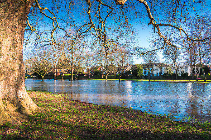 在英国马洛，公园里的树木被泰晤士河淹没