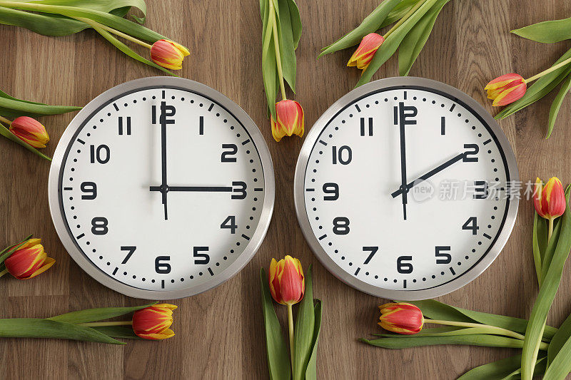 对于从右到左的读数:两个时钟，一个显示2点钟，另一个显示3点钟。郁金香到处都是。