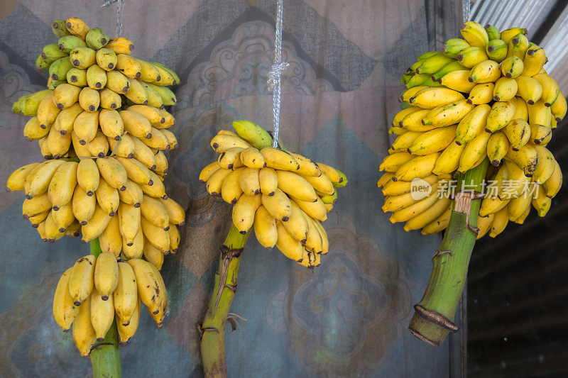 金色香蕉挂在斯里兰卡的水果摊上。