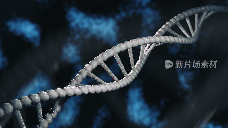 DNA双螺旋结构的特写，蓝色背景