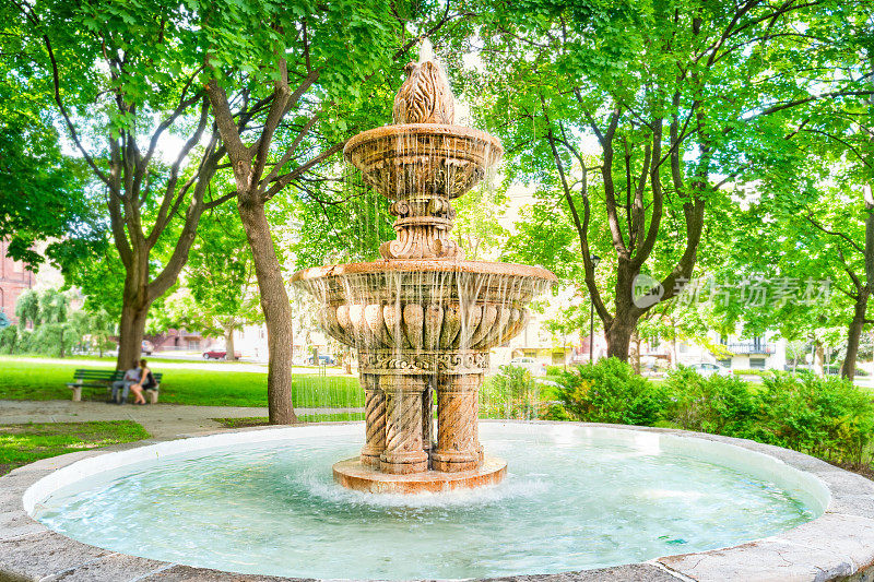 美国纽约州奥尔巴尼市中心学院公园的喷泉