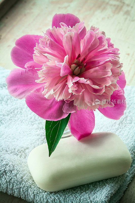 粉色的花，肥皂和白色的毛巾