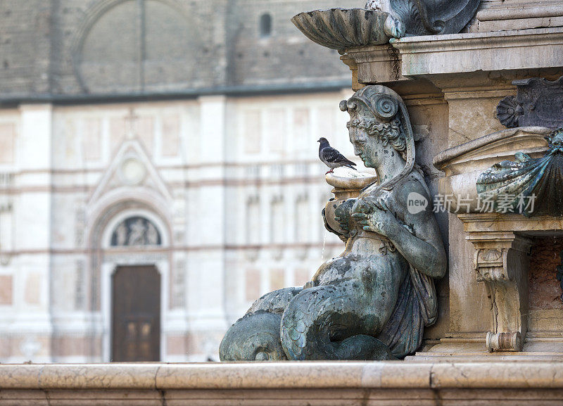 意大利博洛尼亚海神喷泉里的涅瑞德和鸽子