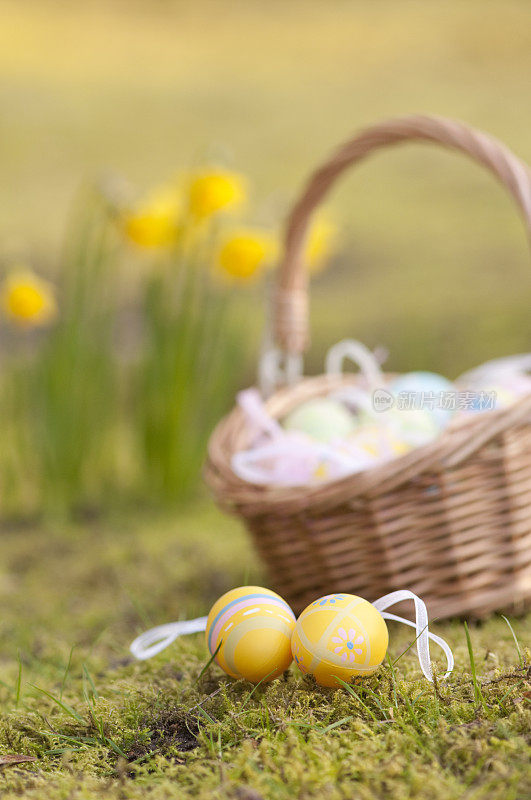 黄色的复活节彩蛋和篮子外面的水仙花