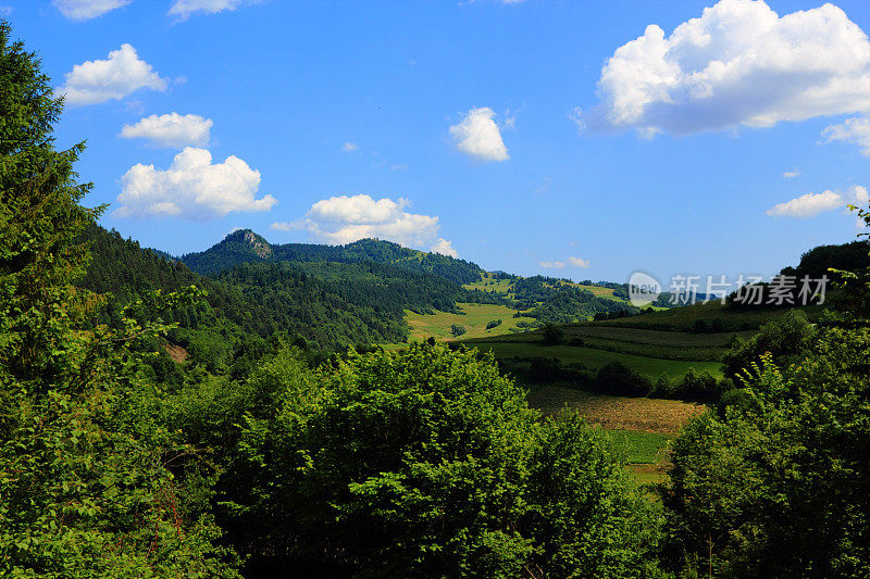 夏天在山脉。Pieniny,斯洛伐克。