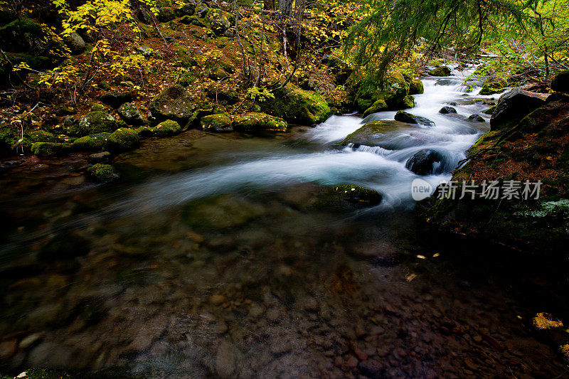 河流在秋天流过森林
