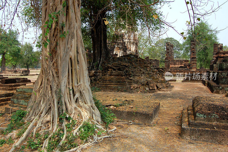 泰国素可泰的木棉树和寺庙遗址