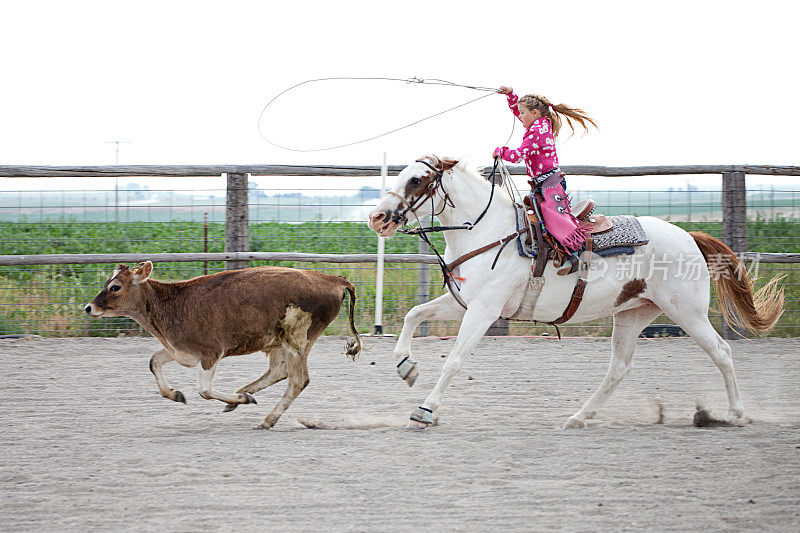 骑着马的小女孩练习套索阉牛