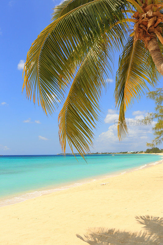 加勒比地区:梦想海滩