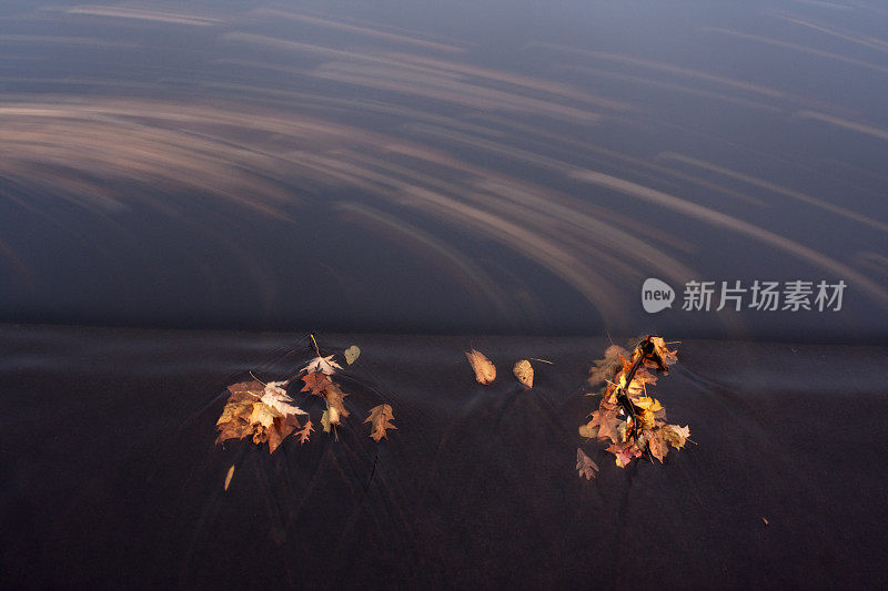 秋叶在流水中移动