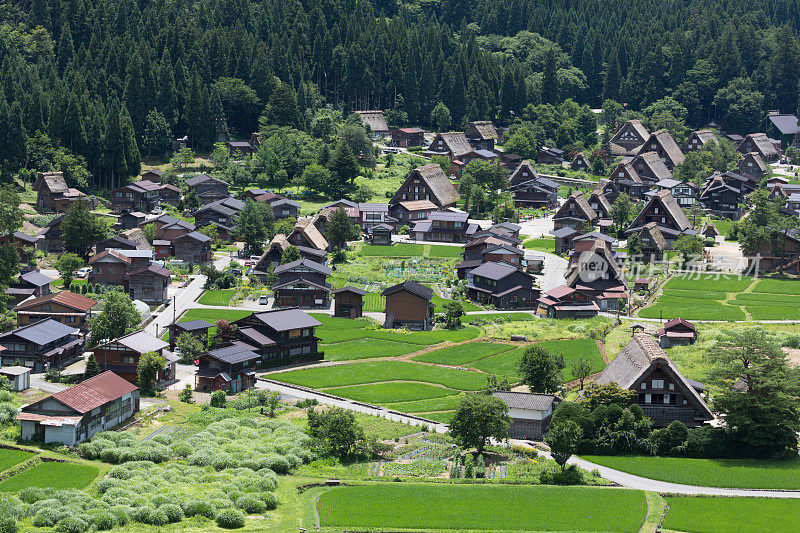 Shirakawa-go在日本