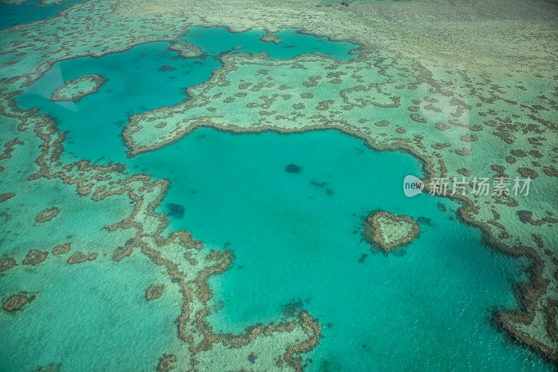 澳大利亚大堡礁，心礁