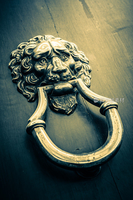 意大利费伦泽的狮头门环