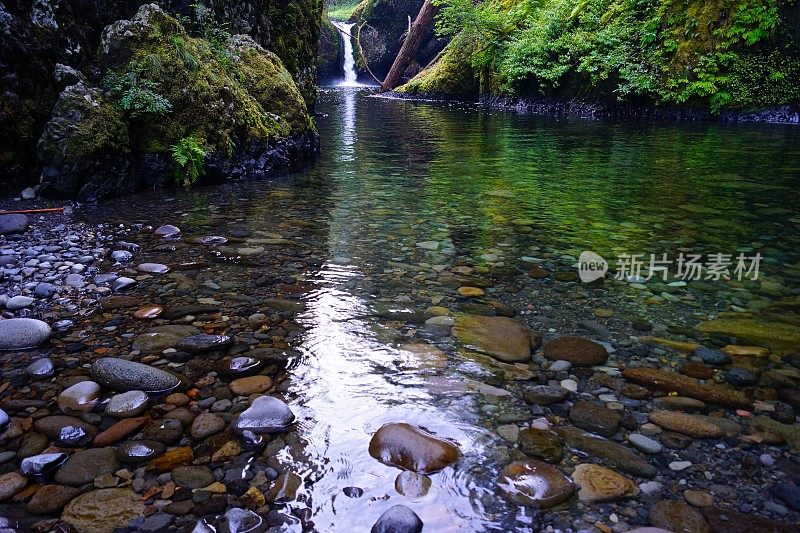 马克o哈特菲尔德荒野