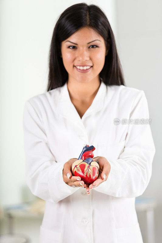 医生拿着人体心脏解剖模型