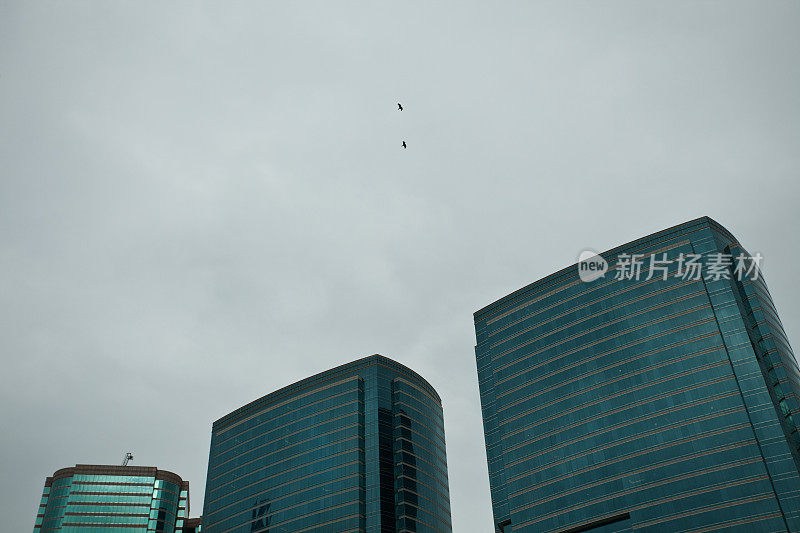 阴天上的香港摩天大楼