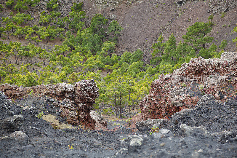 拉帕尔马火山口景观