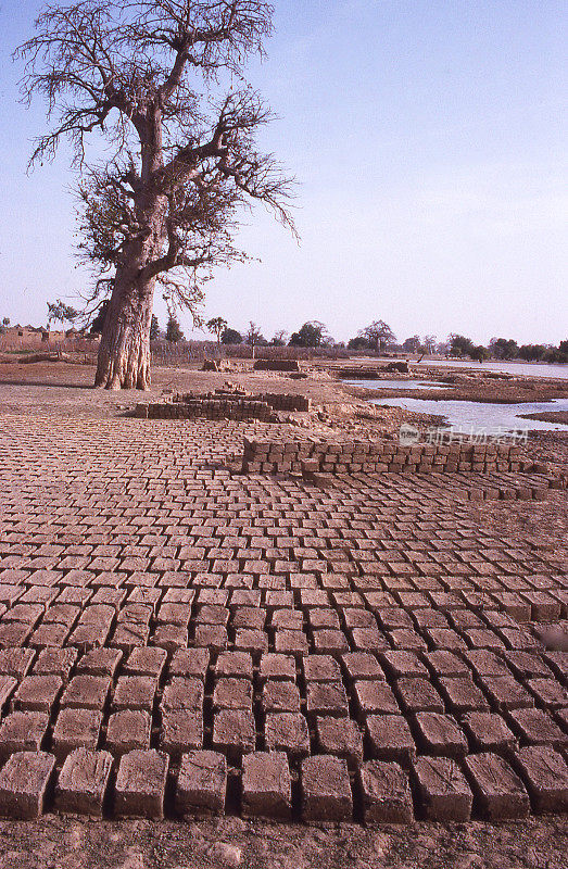 干燥的泥砖准备在亚滕加北部的旱季布基纳法索非洲