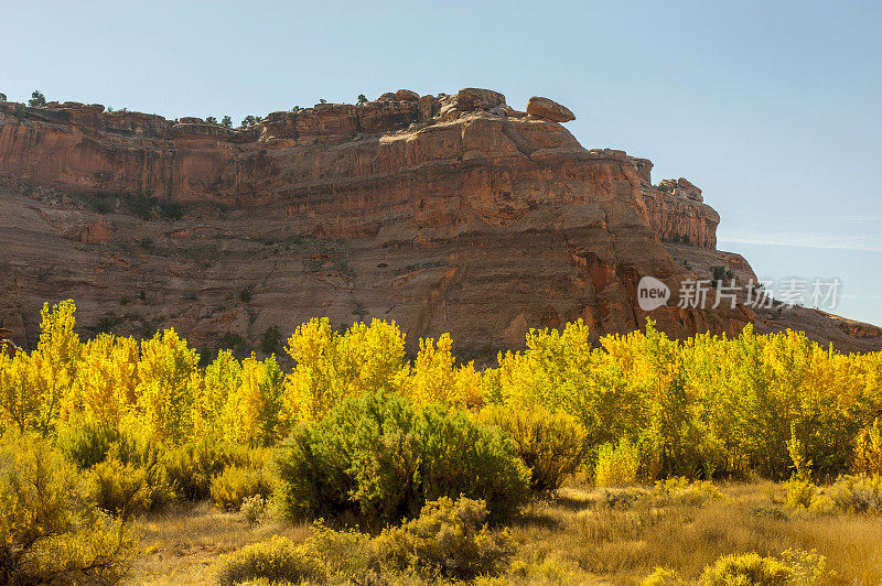 秋天的颜色，峡谷地国家公园，犹他州